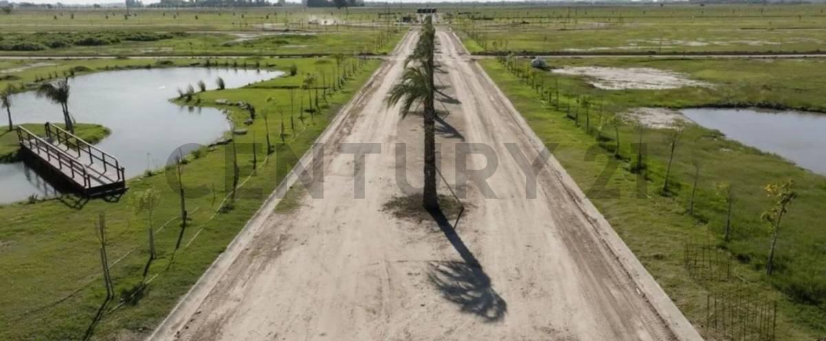 Foto de Lote en venta - Haras Andrea Virginia - Plomer. Gral. Las heras, imagen 2
