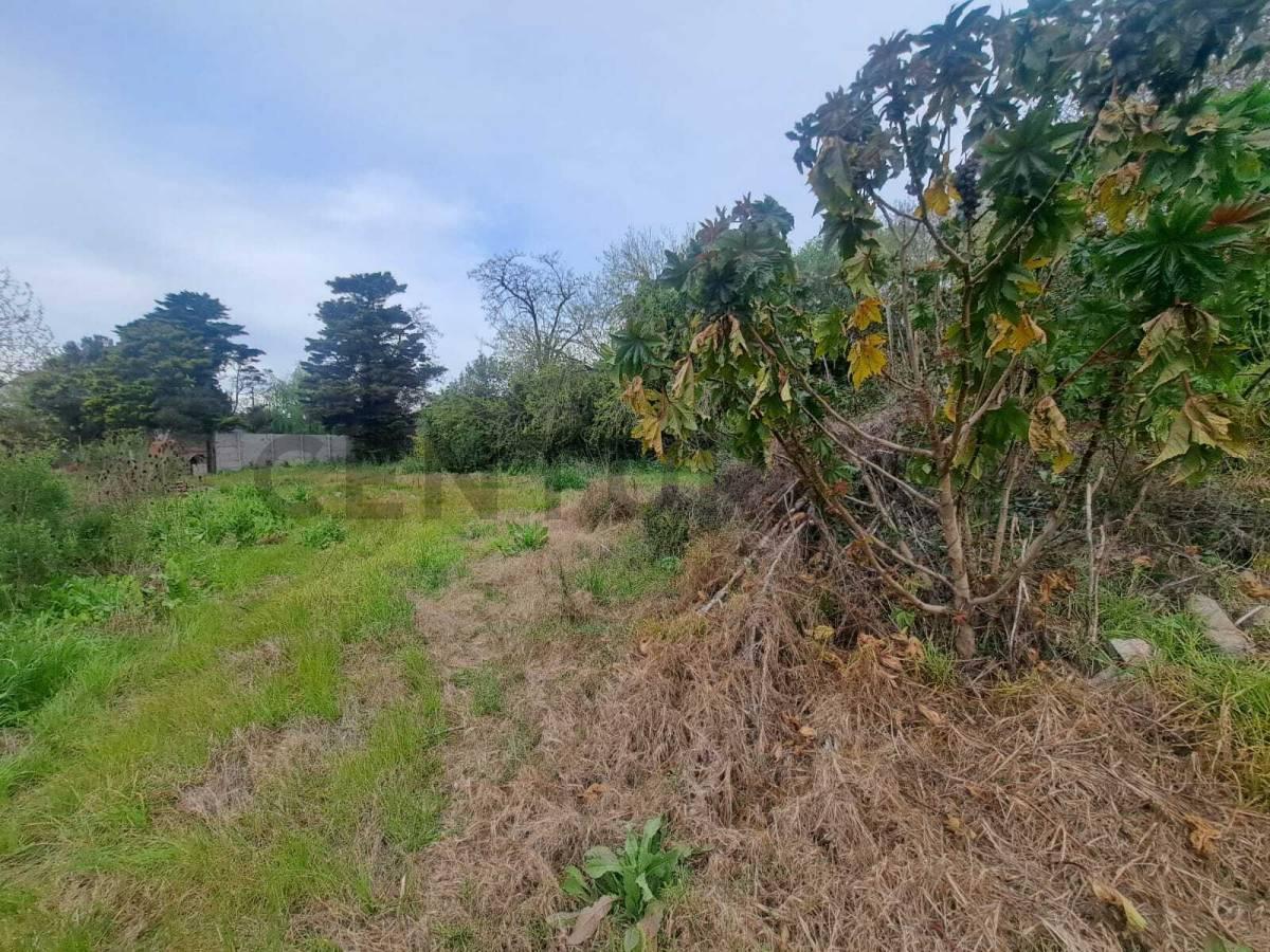 Foto de LOTE EN VENTA EN PARQUE SAN MARTIN-MERLO-504M2-CON SERVICIOS Y, imagen 4