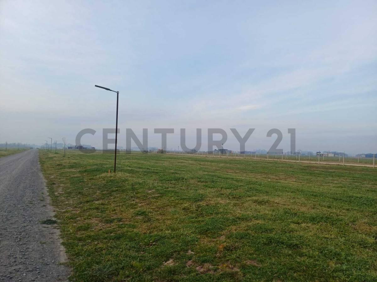 Foto de Venta de Amplio lote 1000 m2 en Barrio Polo Tres Pinos Villa de Campo, imagen 5