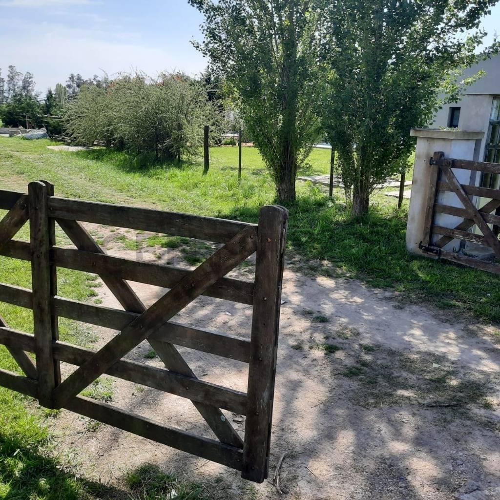 Foto de ESPECTACULAR LOTE EN SAN MIGUEL DEL MONTE-1190M2, imagen 4