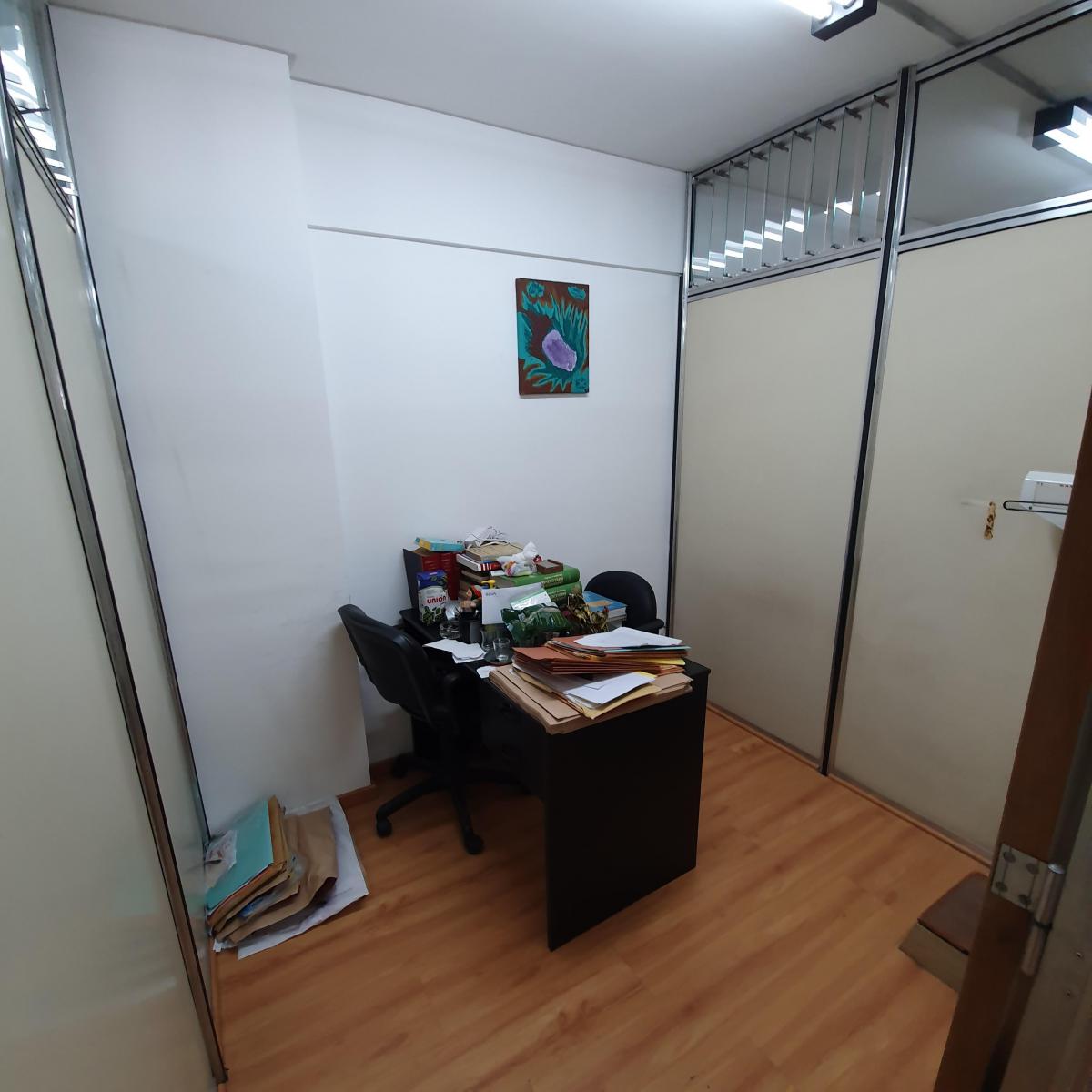 Amplio Dpto. con Recepción y 6 Oficinas o Consultorios 5