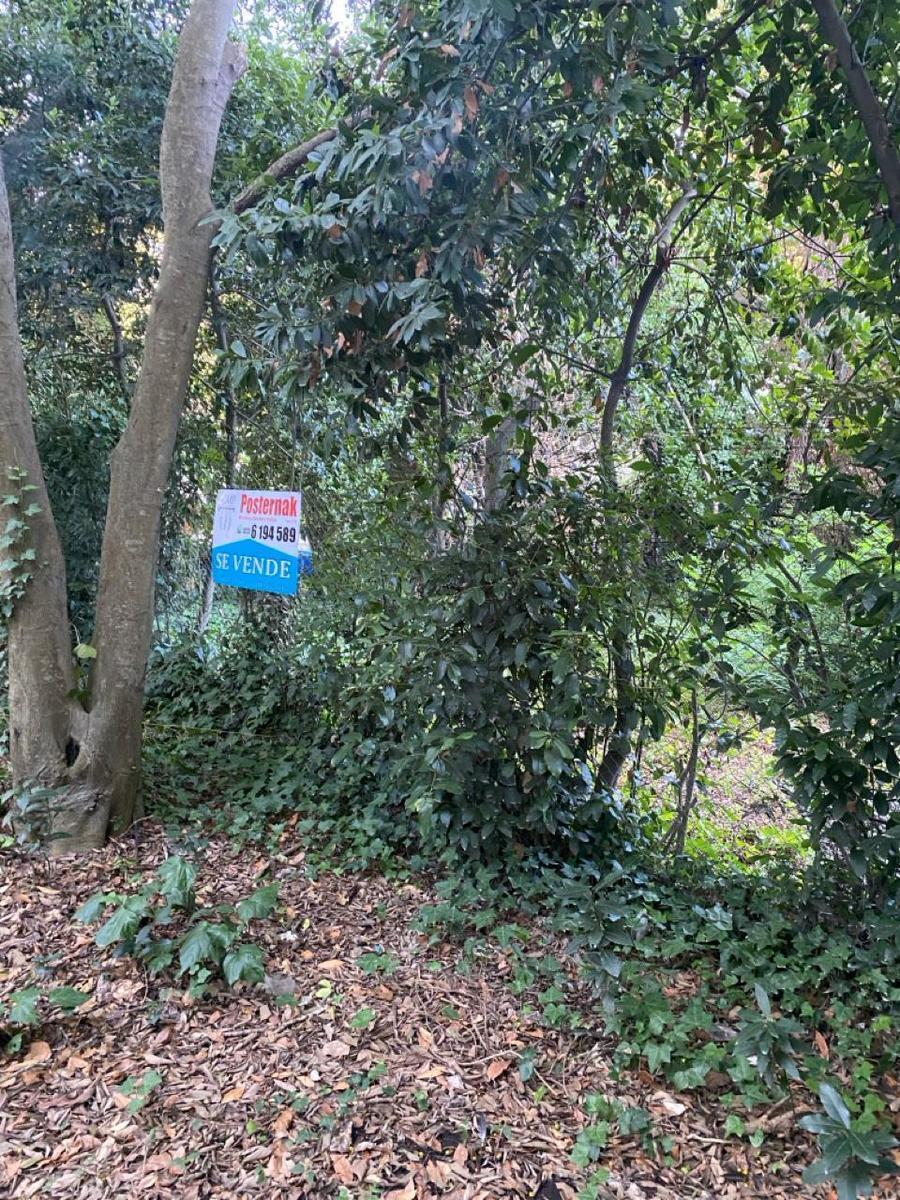 Terreno en Grosellar 5