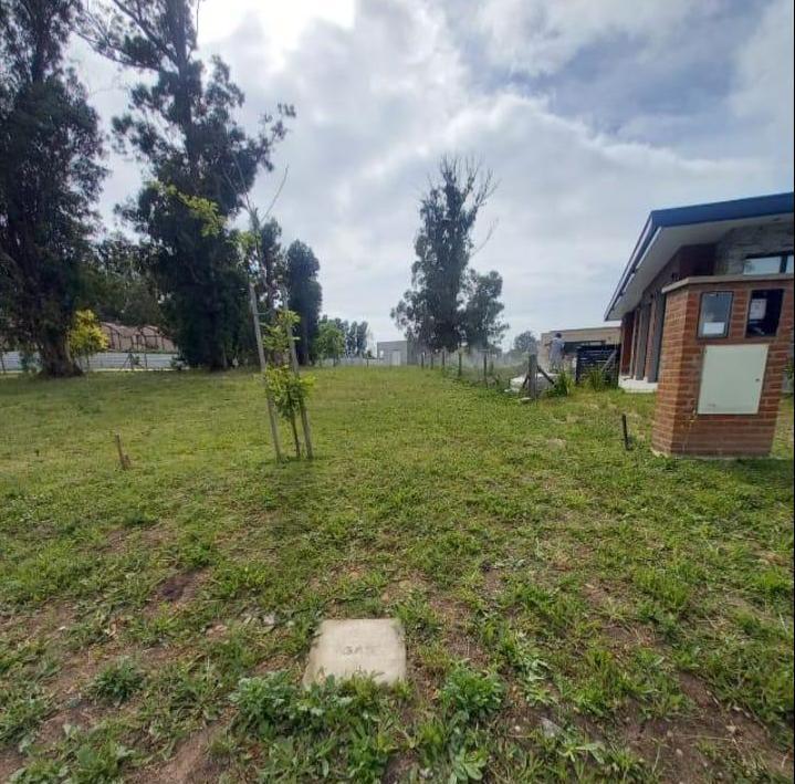 Foto de Terreno en Arenas Chico, imagen 1