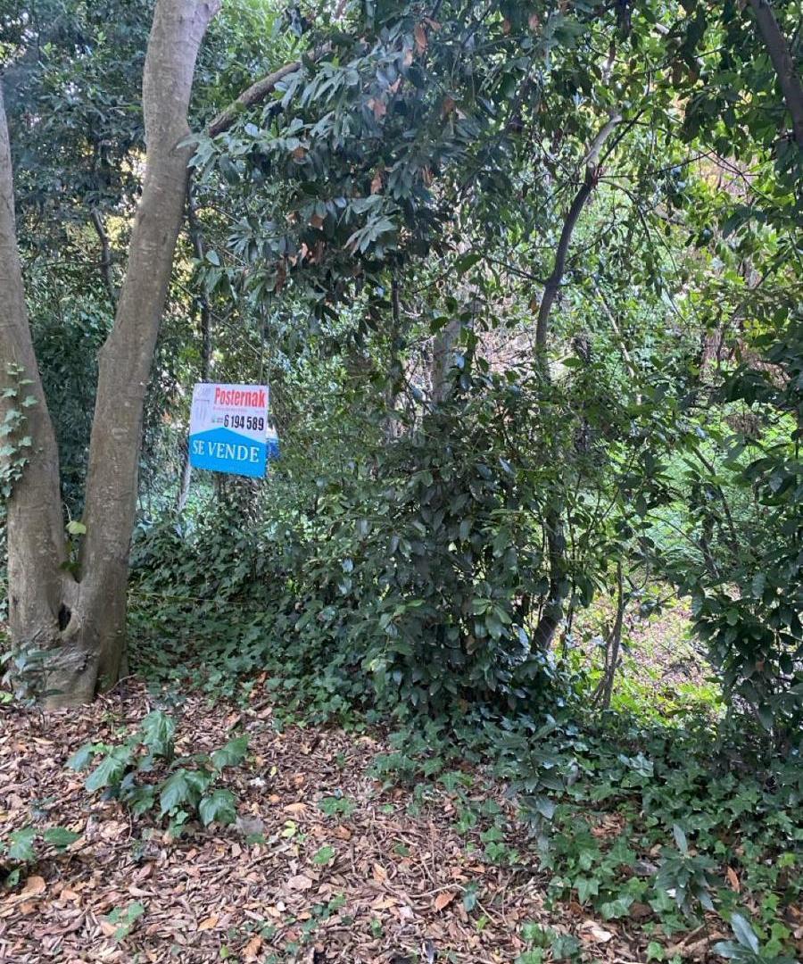 Foto de Terreno en Grosellar, imagen 5
