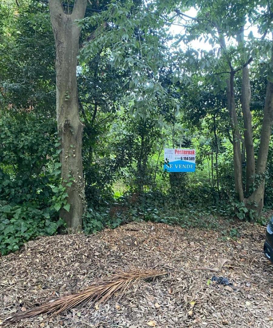 Foto de Terreno en Grosellar, imagen 1