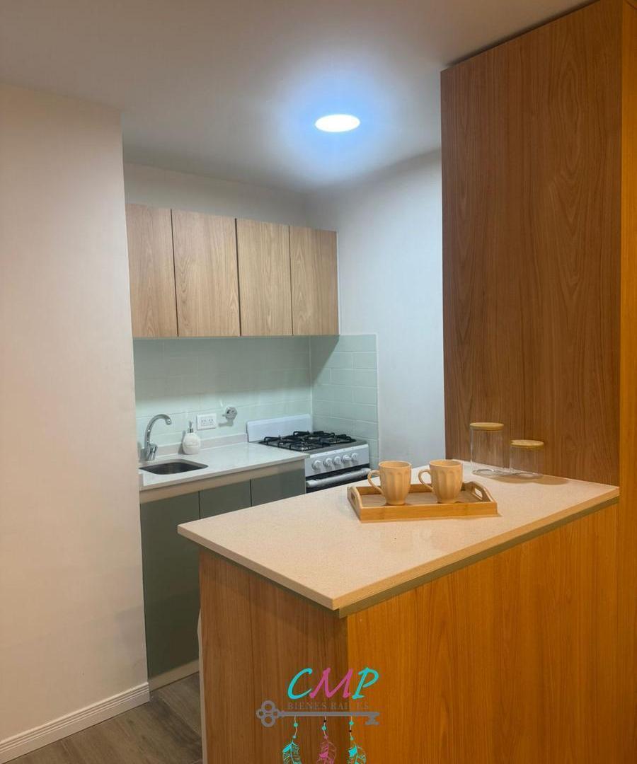 Foto de Departamento en Plaza Mitre, imagen 4