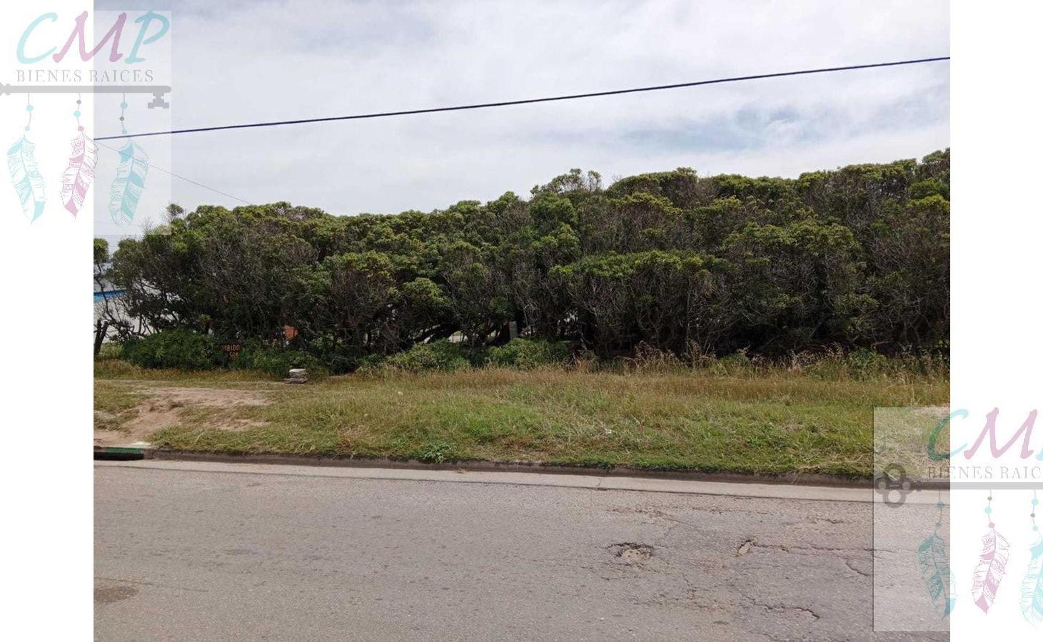 Foto de Terreno en Camet, imagen 2