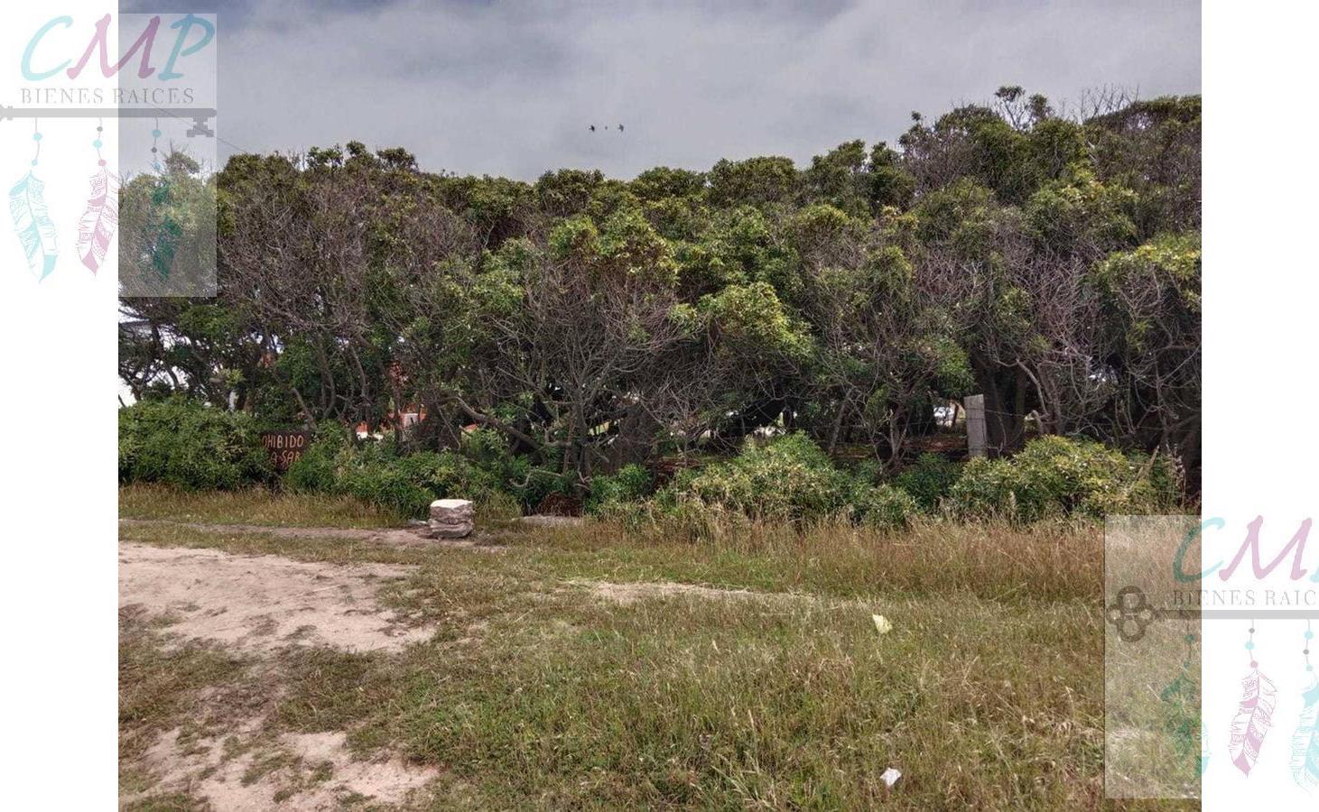 Foto de Terreno en Camet, imagen 1