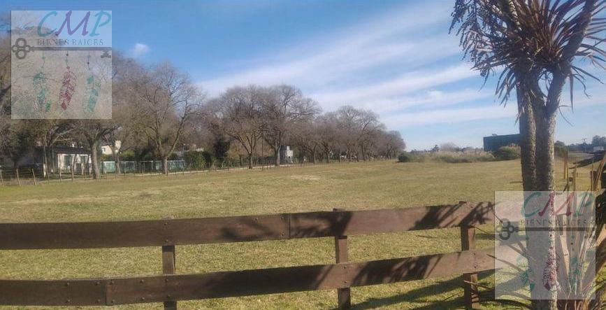 Foto de Terreno en Colina Alegre, imagen 5