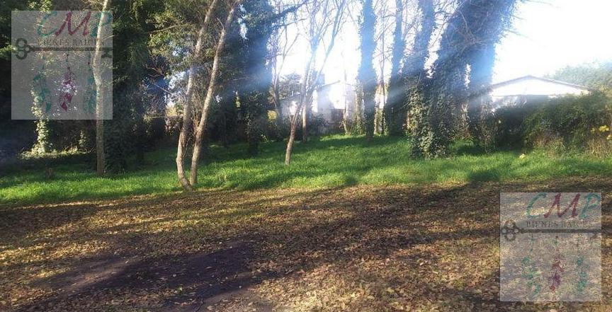 Foto de Terreno en Colina Alegre, imagen 4