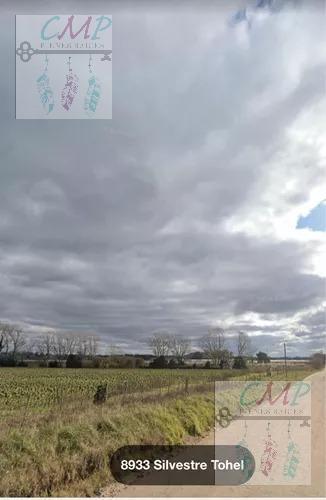 Foto de Campo en Parque Palermo, imagen 4