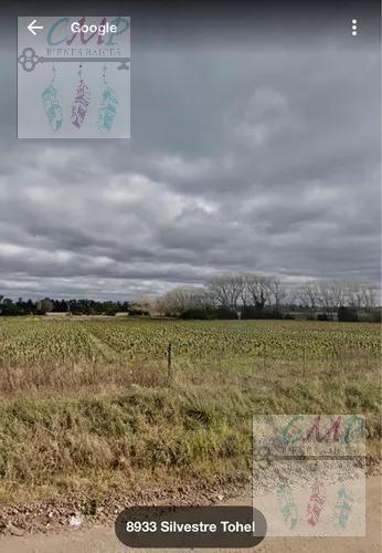 Foto de Campo en Parque Palermo, imagen 5