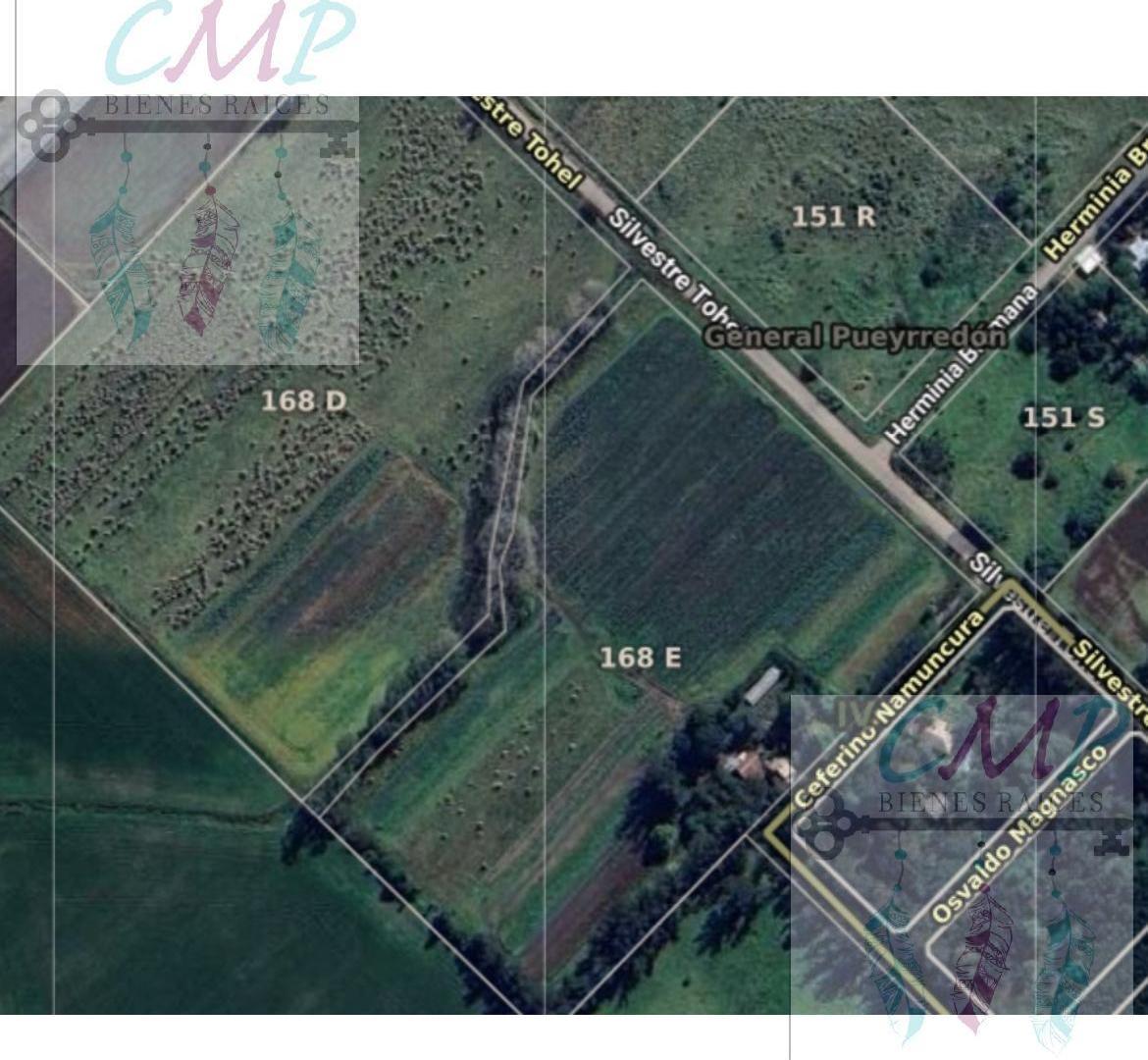 Foto de Campo en Parque Palermo, imagen 1
