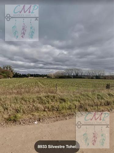 Foto de Campo en Parque Palermo, imagen 2