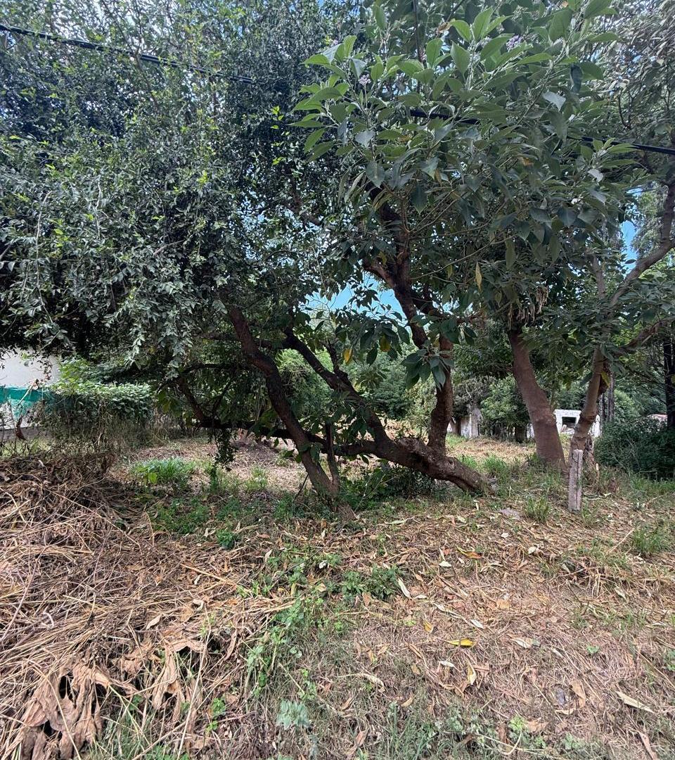 Foto de VENDO TERRENO EN MENDIOLAZA DE 420 MTS - ZONA TOTALMENTE CONSOLIDADA, imagen 3