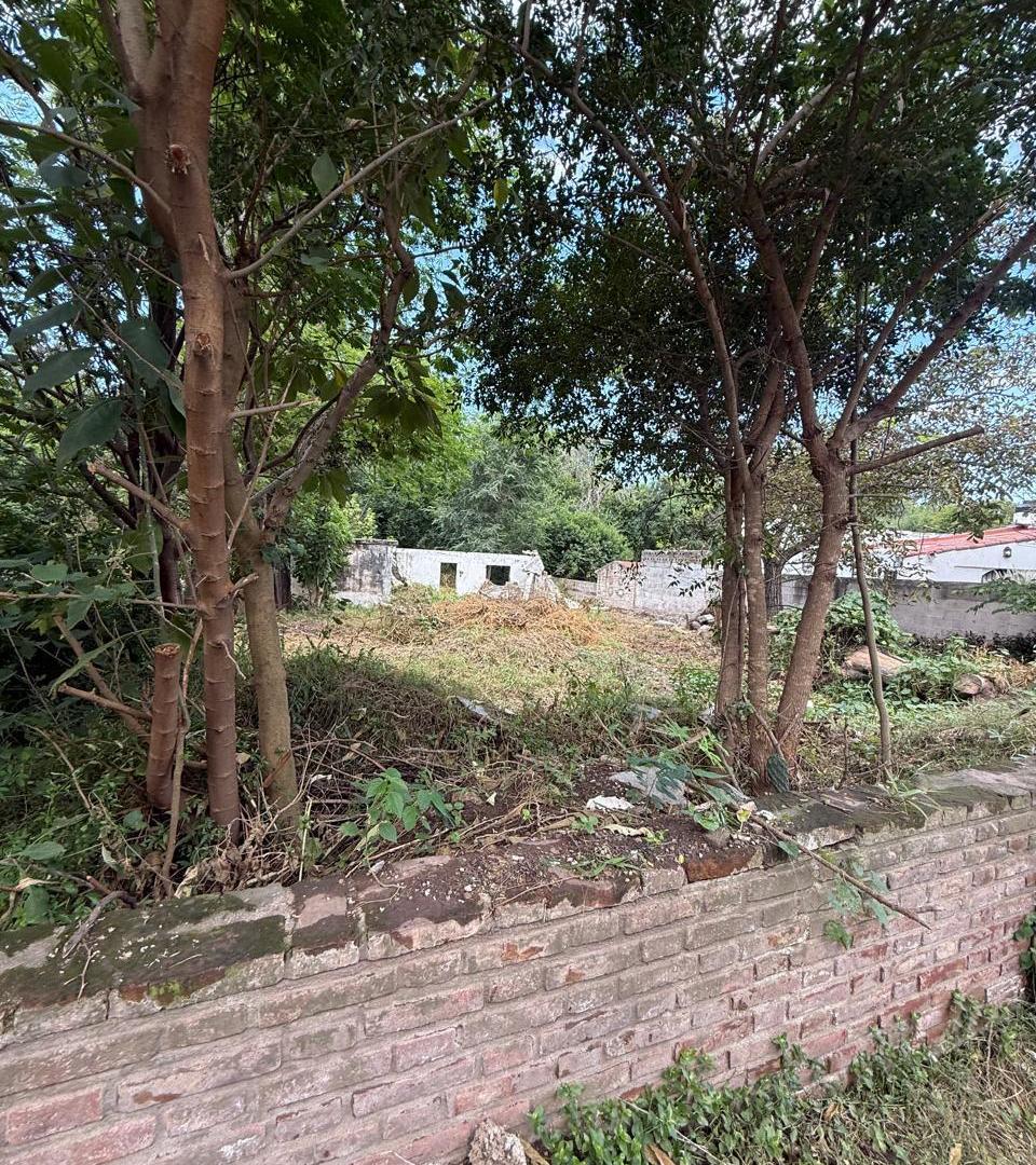 Foto de VENDO TERRENO EN MENDIOLAZA DE 420 MTS - ZONA TOTALMENTE CONSOLIDADA, imagen 4