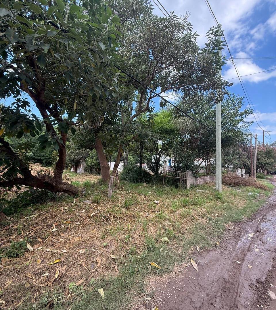 Foto de VENDO TERRENO EN MENDIOLAZA DE 420 MTS - ZONA TOTALMENTE CONSOLIDADA, imagen 2