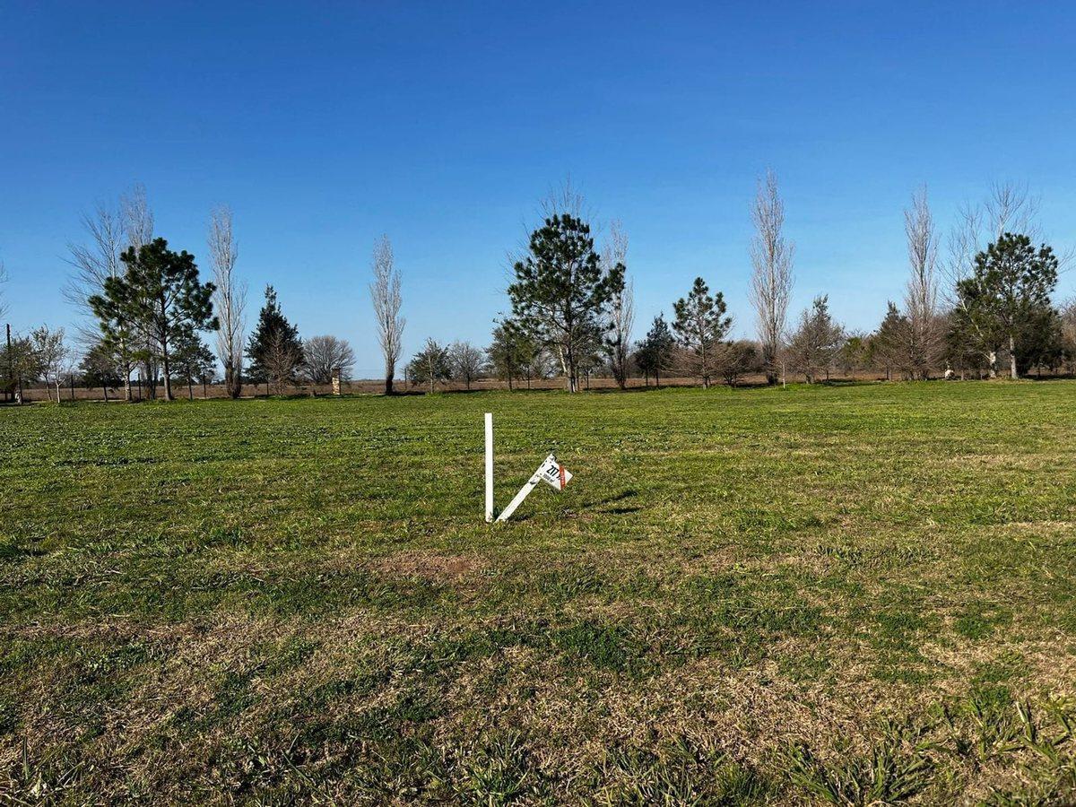 TERRENO VENTA LA RINCONADA. PERMUTA. FINANCIACIÓN