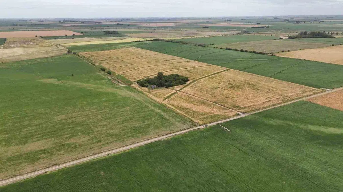 VENTA CAMPO AREQUITO SANTA FE. 89 HAS 5