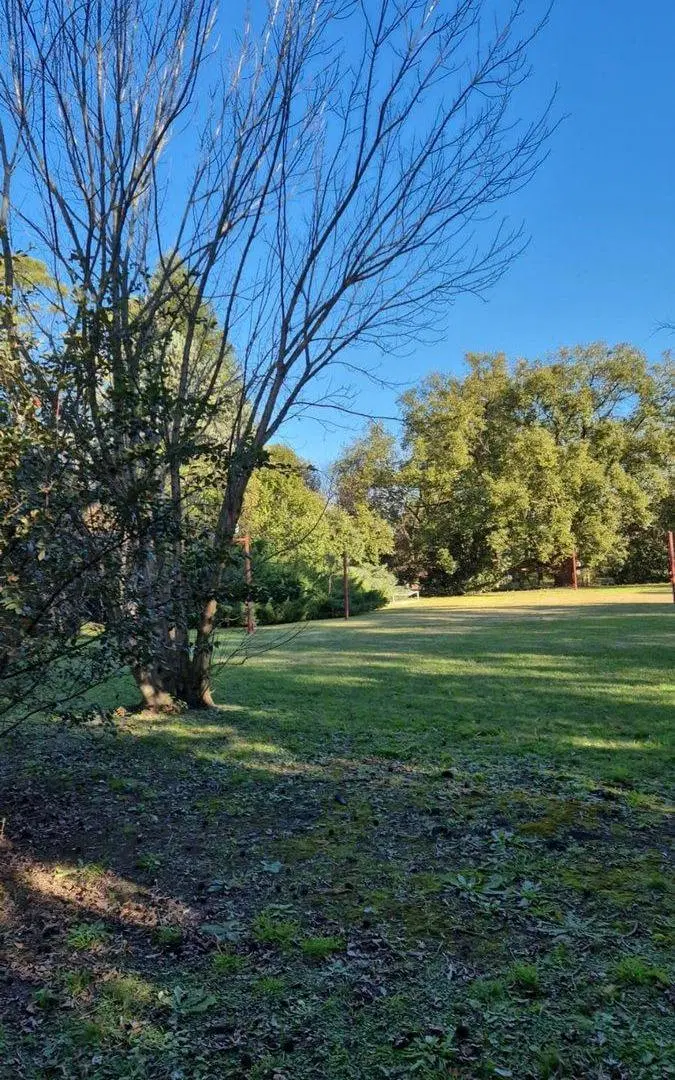 LOTE ARBOLADO EN VENTA . FRENTE SUR  1187 M2 FUNES 2