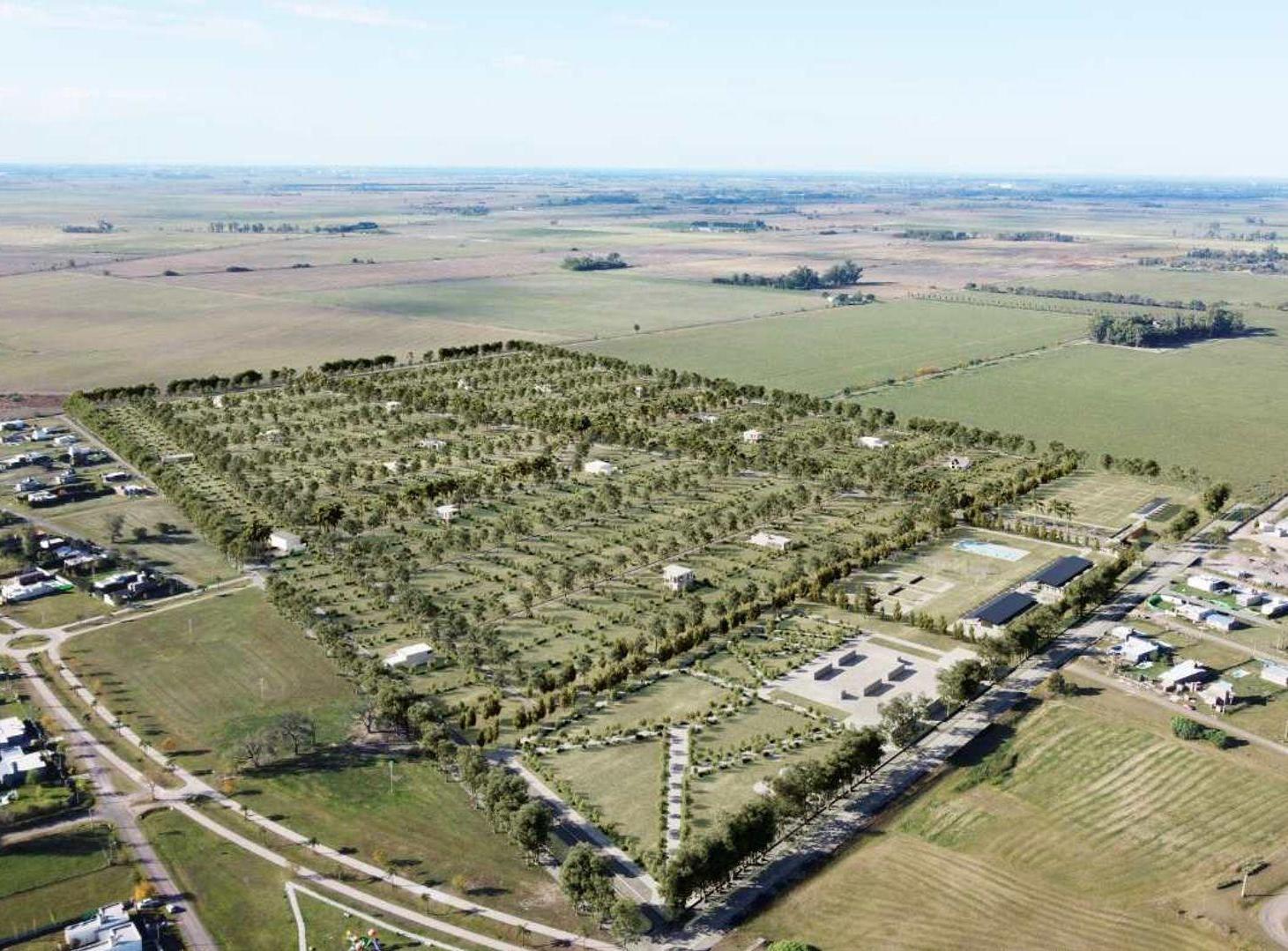 Lote de 600 m2 en La Guillermina!