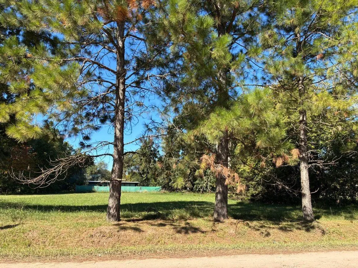 Venta terreno 1130 m2 Roldán a metros de Ruta 9 4