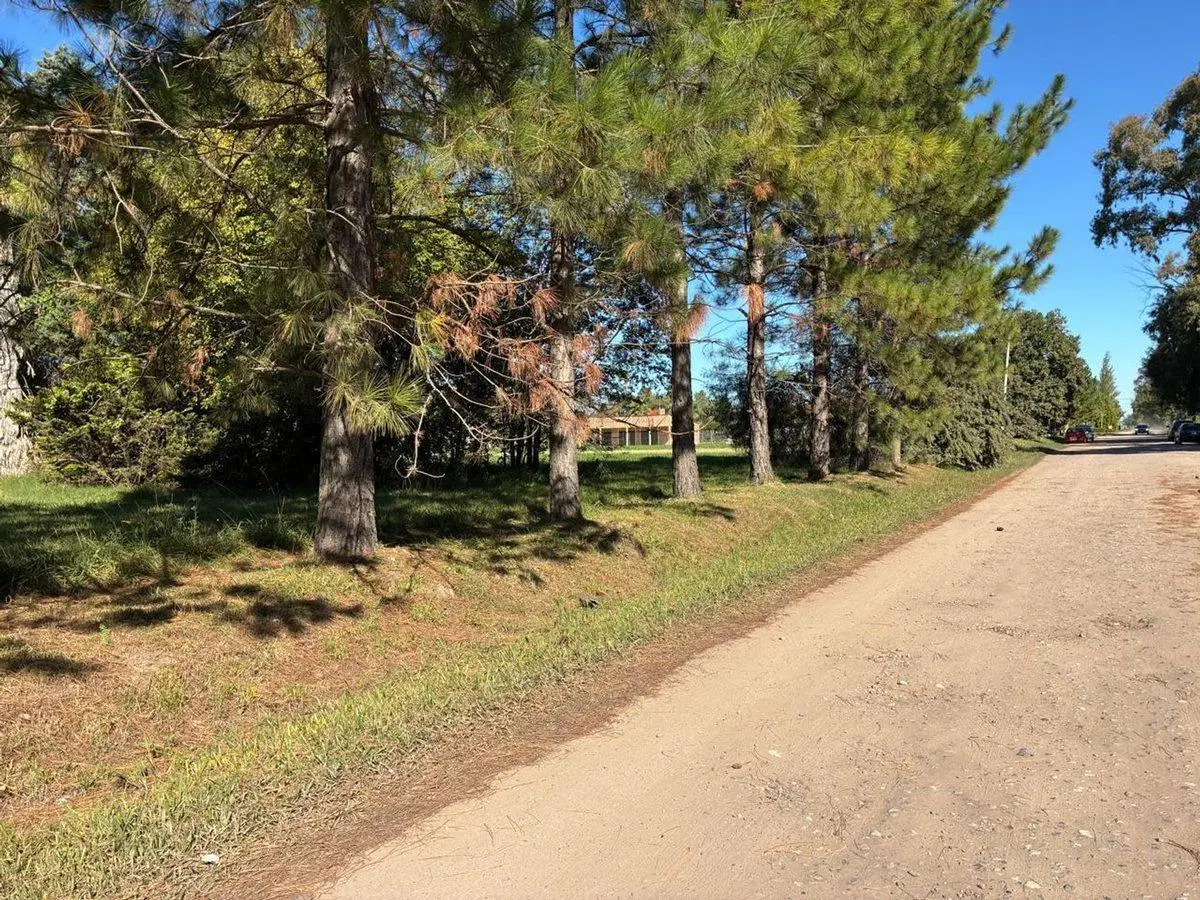 Venta terreno 1130 m2 Roldán a metros de Ruta 9 2