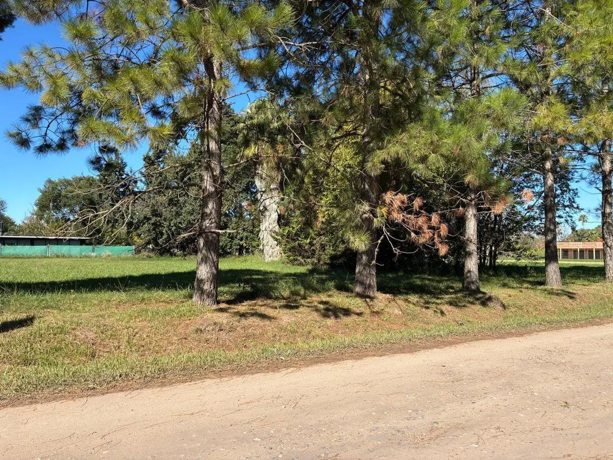 Venta terreno 1130 m2 Roldán a metros de Ruta 9 3