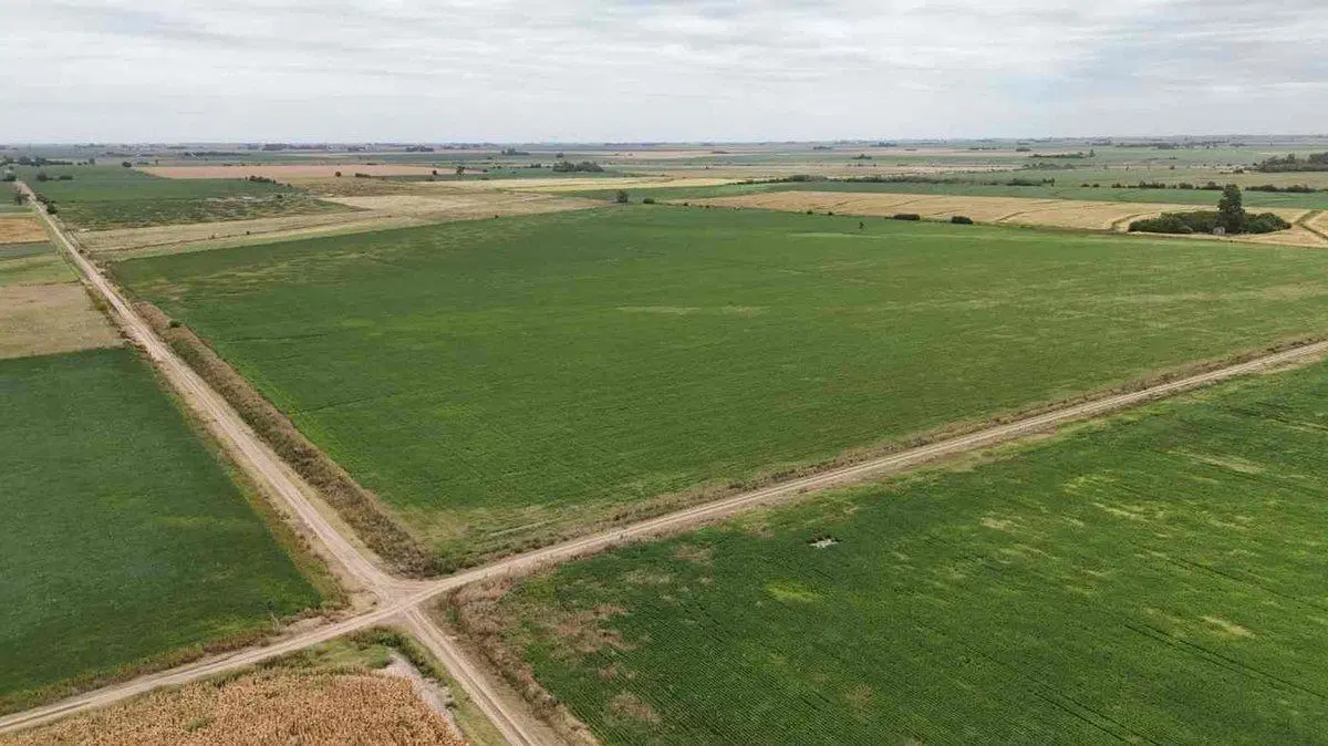 VENTA CAMPO AREQUITO SANTA FE. 89 HAS 2