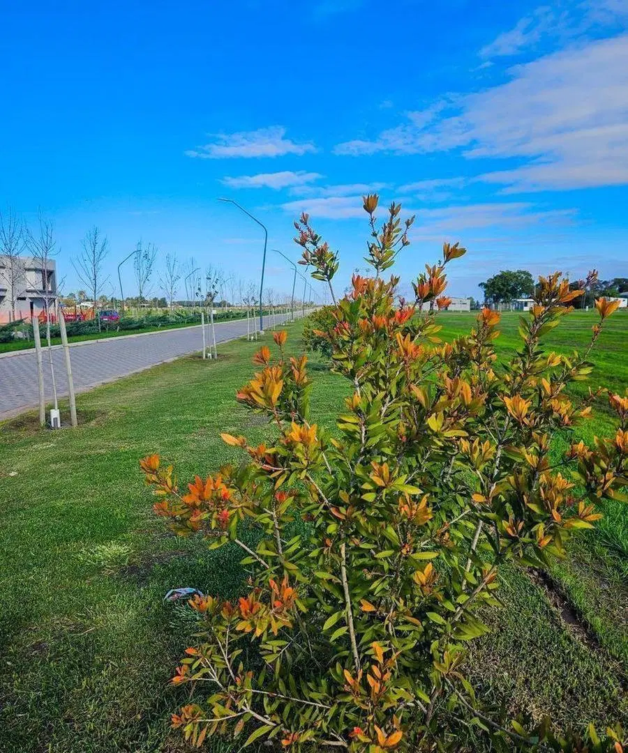 LOTE ESQUINA SOBRE BOULERVAD ECOTIERRA VENTA/FINAN 3