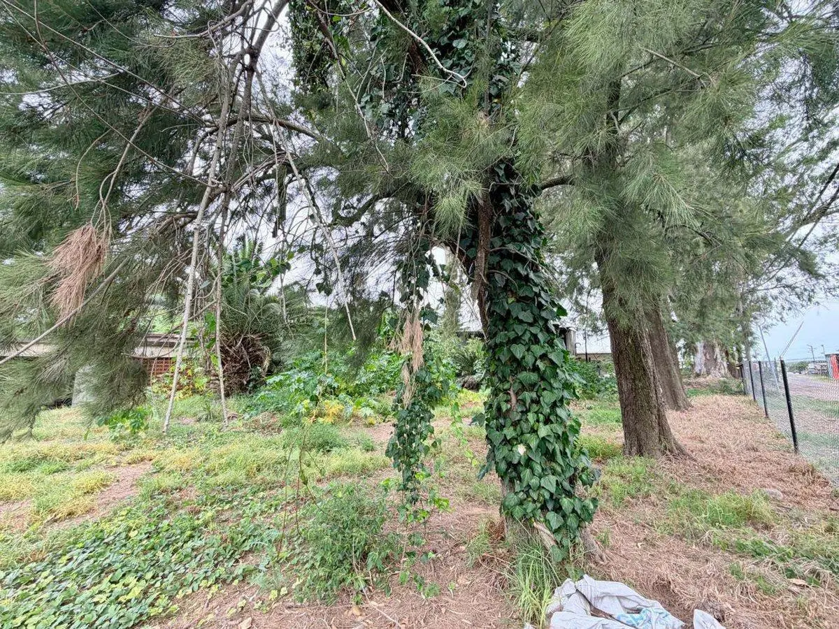 VENTA ! TERRENO 1300 M2 EN FRAY LUIS BELTRAN 4