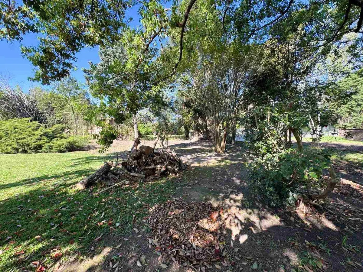 LOTE ARBOLADO EN VENTA . FRENTE SUR  1187 M2 FUNES 5