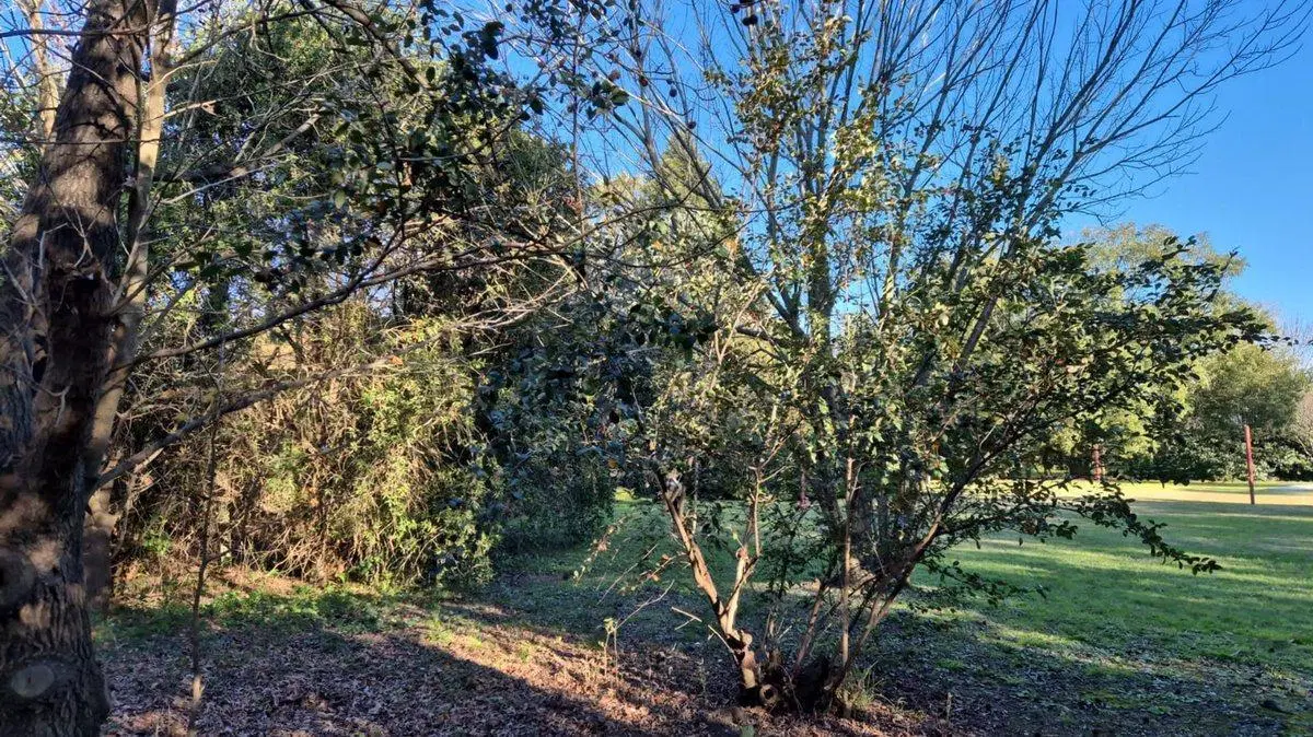 LOTE ARBOLADO EN VENTA . FRENTE SUR  1187 M2 FUNES 3