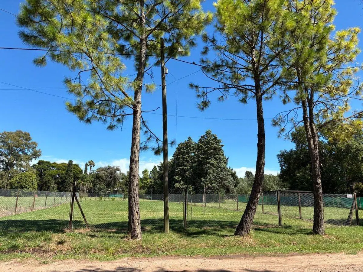 VENTA TERRENO ROLDÁN, ALTO VERDE y RUTA 9, 1130 m2 5