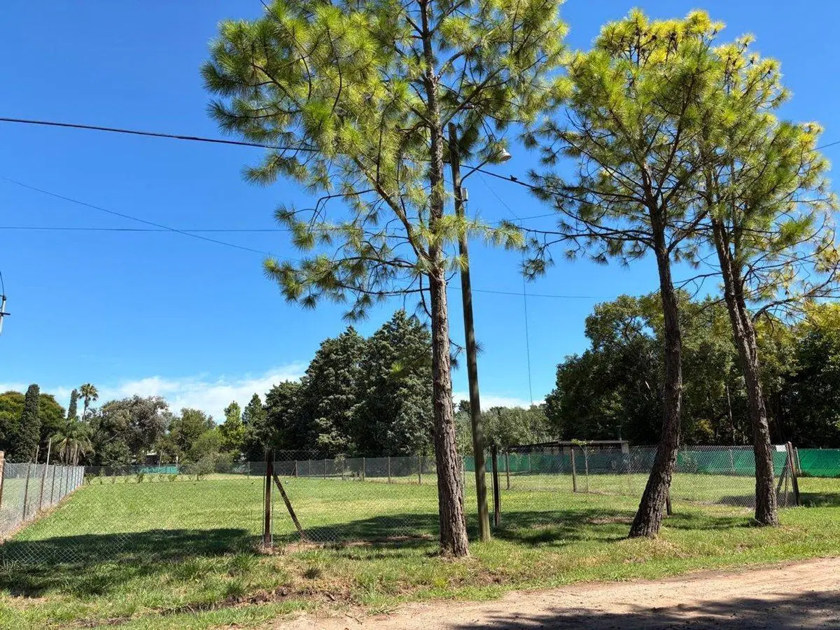 VENTA TERRENO ROLDÁN, ALTO VERDE y RUTA 9, 1130 m2 4