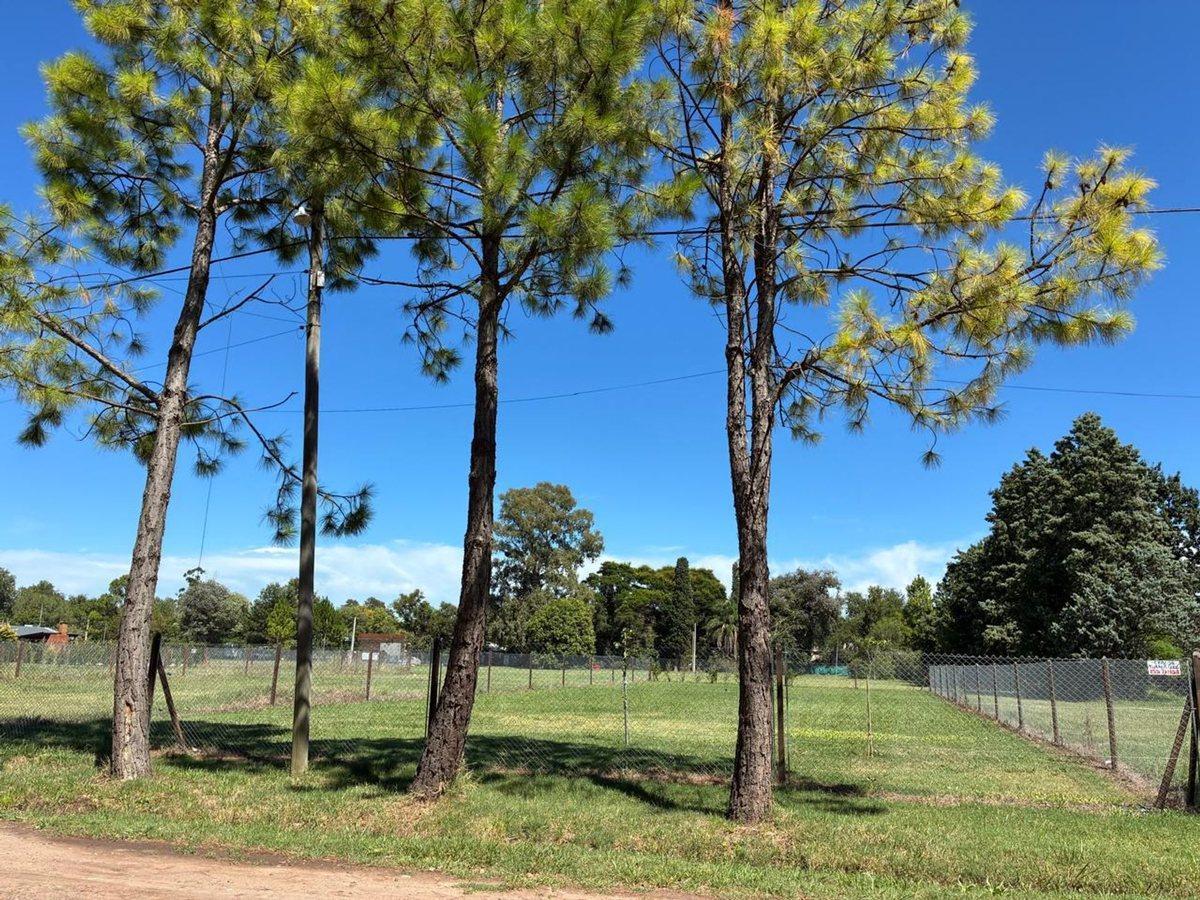 Foto de VENTA TERRENO ROLDÁN, ALTO VERDE y RUTA 9, 1130 m2, imagen 5