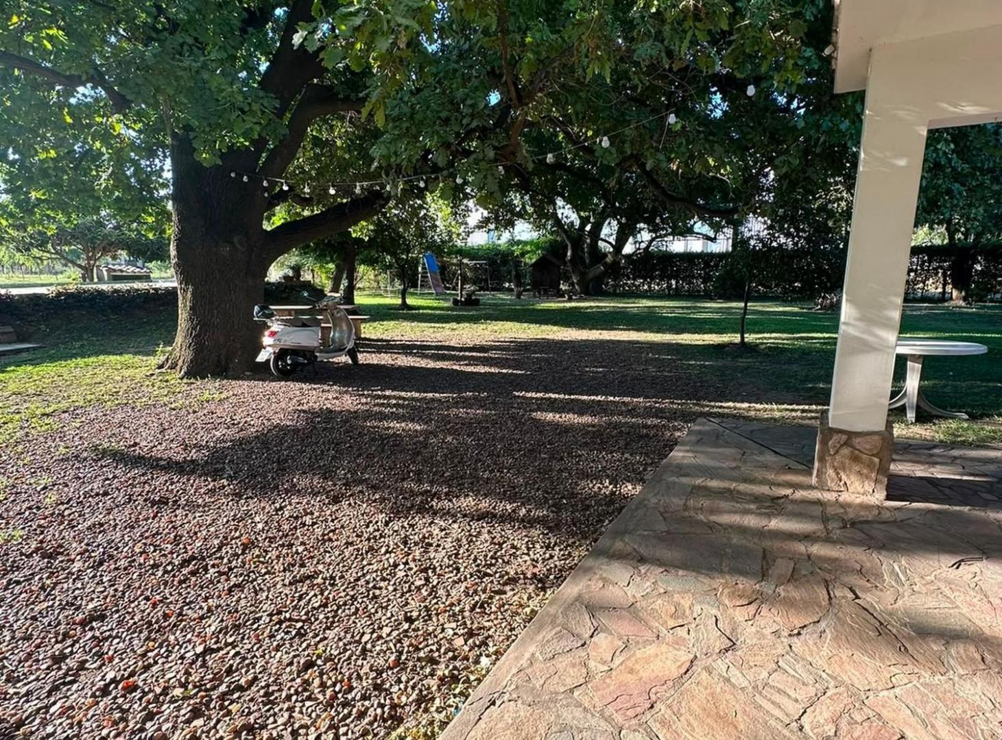 Foto de VENTA TERRENO DE 10.000MT2 GRANADERO BAIGORRIA, imagen 4