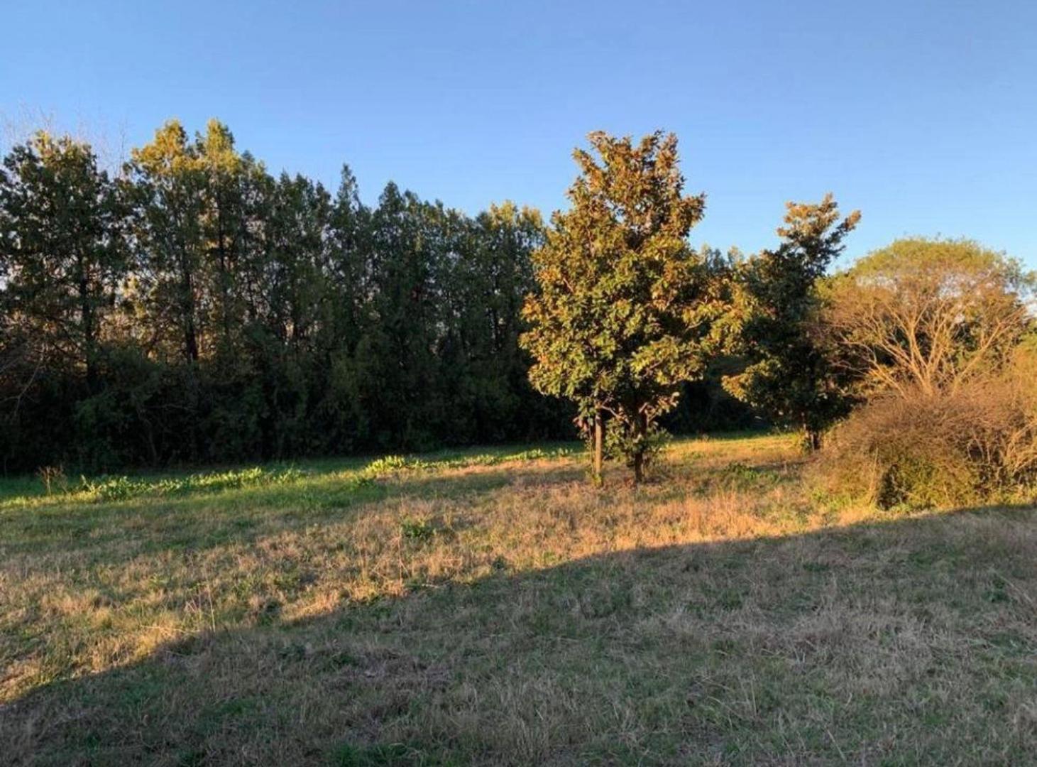Foto de TERRENO ESTANCIA LA CATALINA, imagen 3