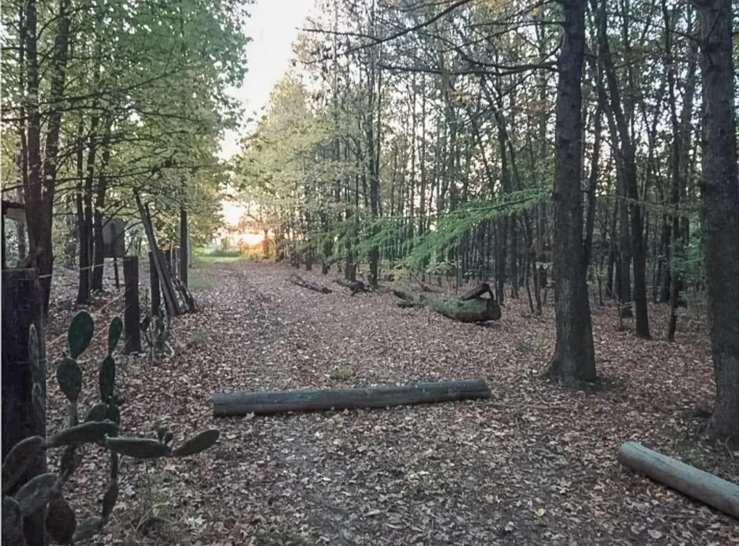 Foto de TERRENO ESTANCIA LA CATALINA, imagen 4