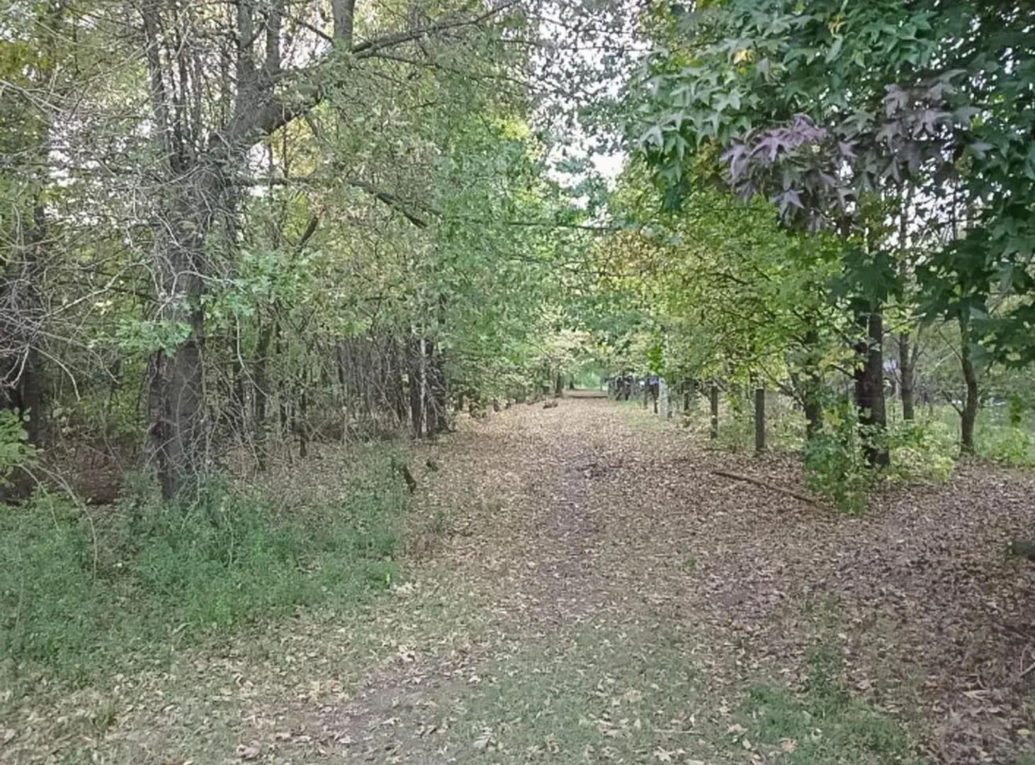 Foto de TERRENO ESTANCIA LA CATALINA, imagen 5