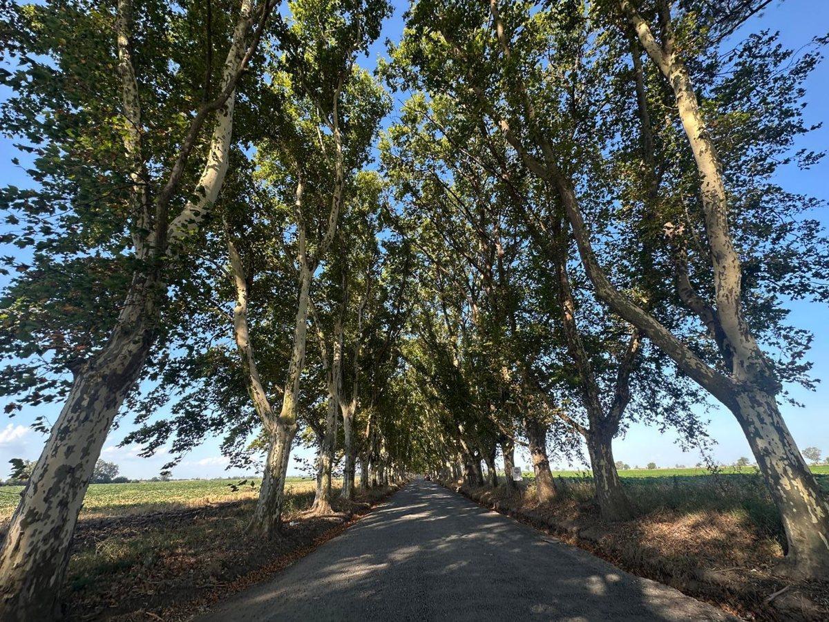 Foto de VENTA LOTE 1000 MT2 EN AZAHARES DEL PARANA, imagen 4