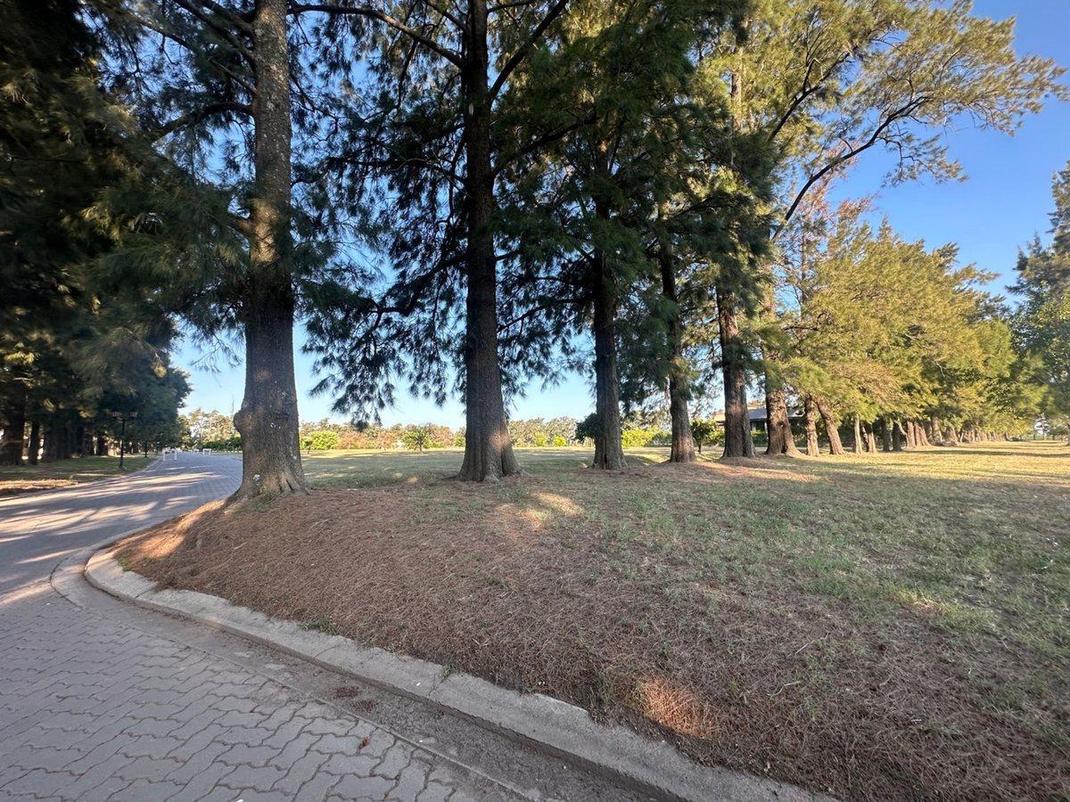 Foto de VENTA LOTE 1000 MT2 EN AZAHARES DEL PARANA, imagen 2