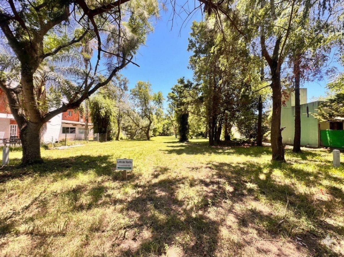 Foto de VENTA ! LOTE DE 2047 M2 EN COTOS DE ALAMEDA ROLDAN, imagen 1