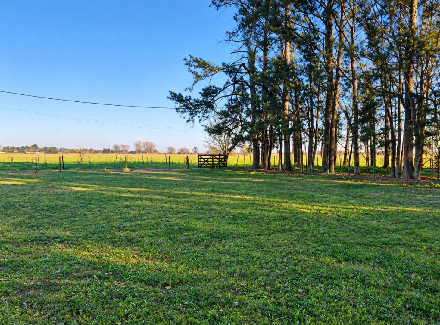 Foto de LOTE VISTA DESPEJADA - Ea. LA CATALINA - ROLDAN, imagen 5