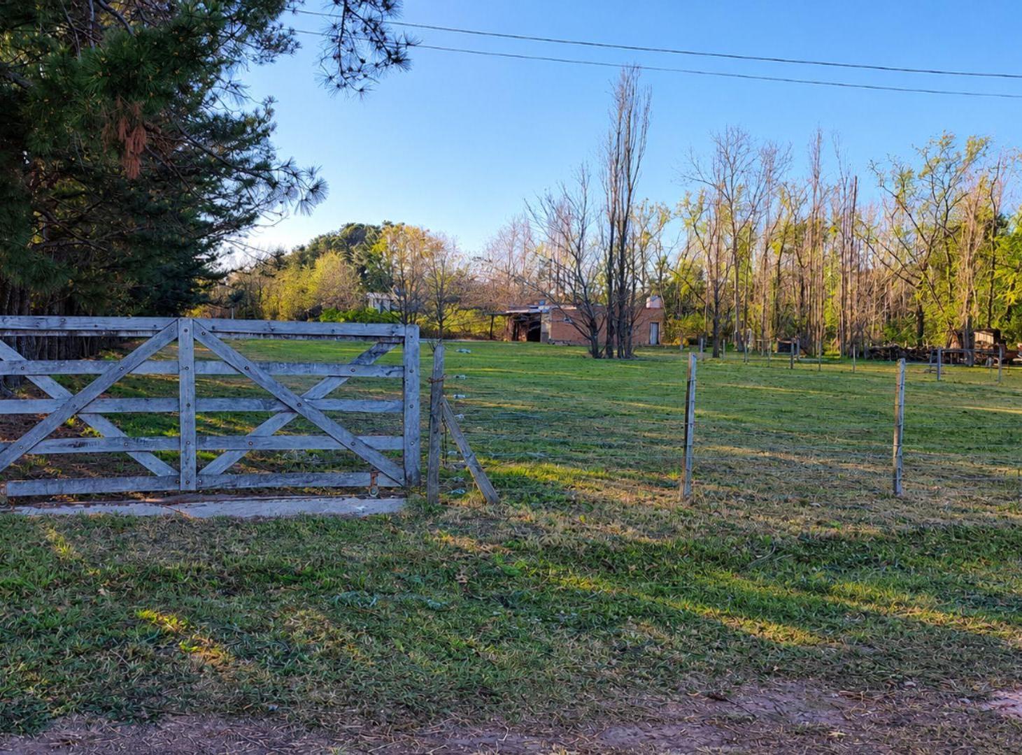 Foto de LOTE VISTA DESPEJADA - Ea. LA CATALINA - ROLDAN, imagen 4
