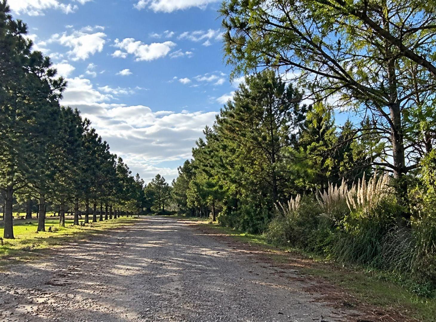 Foto de LOTE VISTA DESPEJADA - Ea. LA CATALINA - ROLDAN, imagen 1