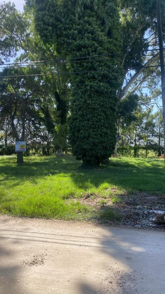 Dos Lotes en Block - La Florida 1