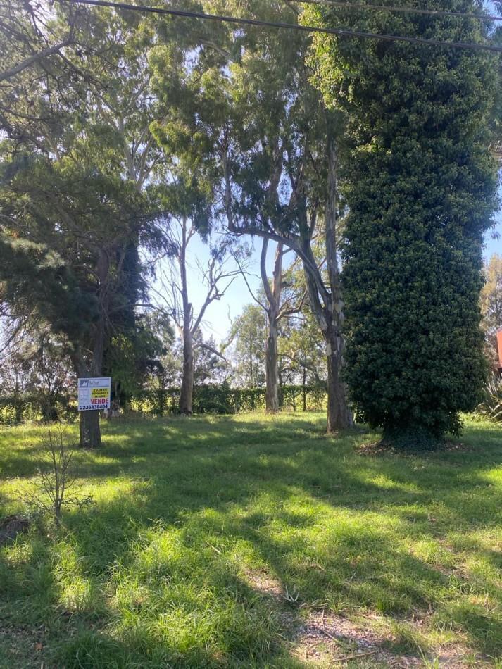 Dos Lotes en Block - La Florida 3