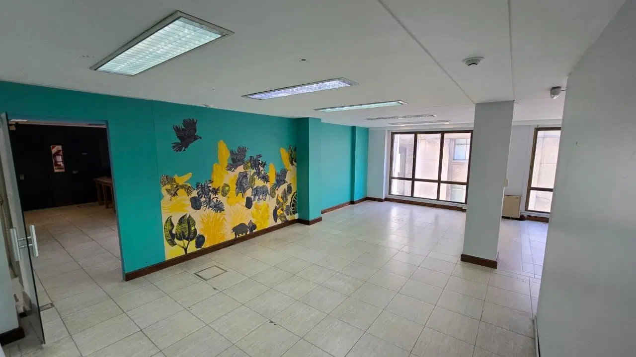 Oficina en San Nicolás 5