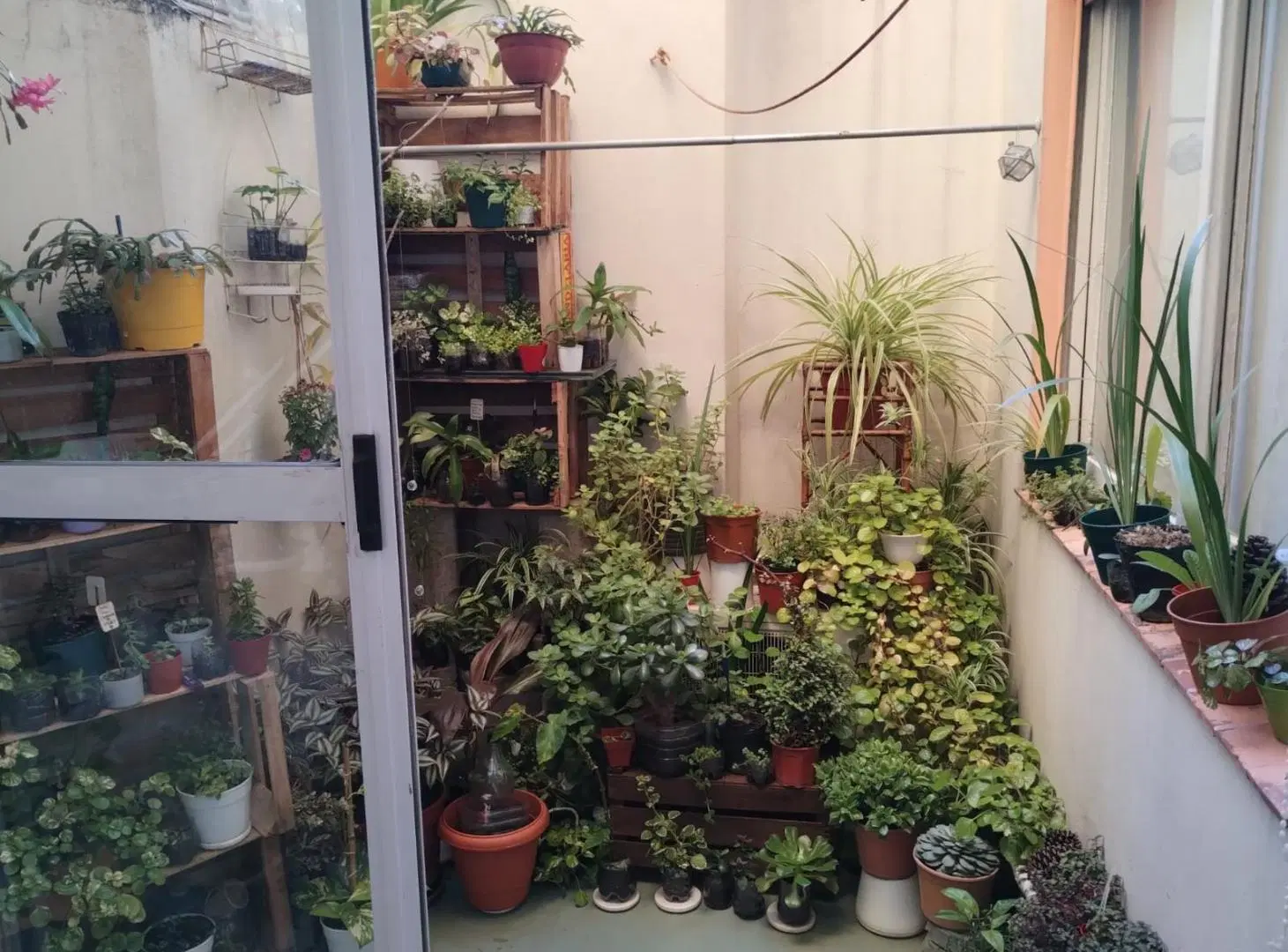 Departamento en Agronomia 5